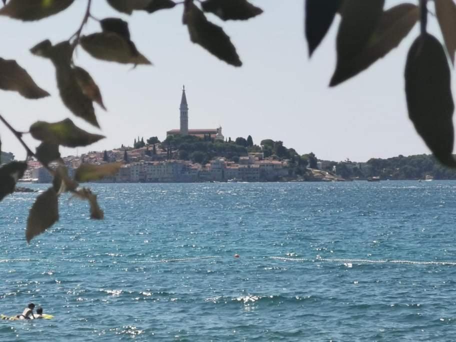Studio Apartment Rosemary Rovinj Eksteriør bilde