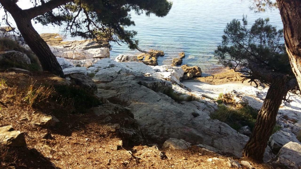 Studio Apartment Rosemary Rovinj Eksteriør bilde