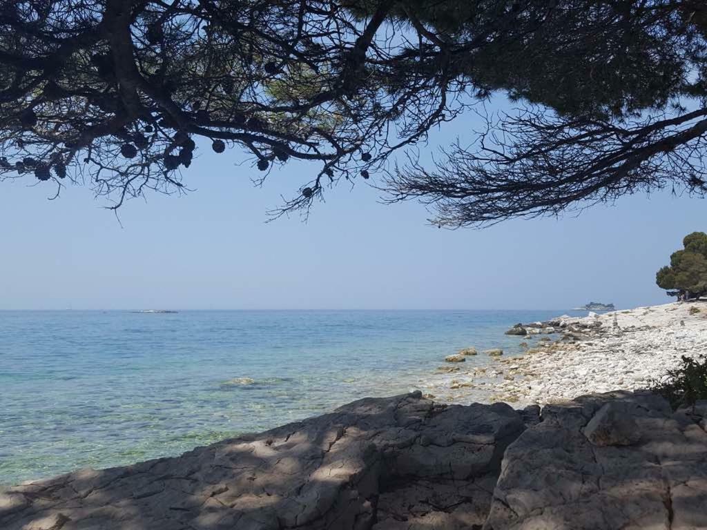 Studio Apartment Rosemary Rovinj Eksteriør bilde